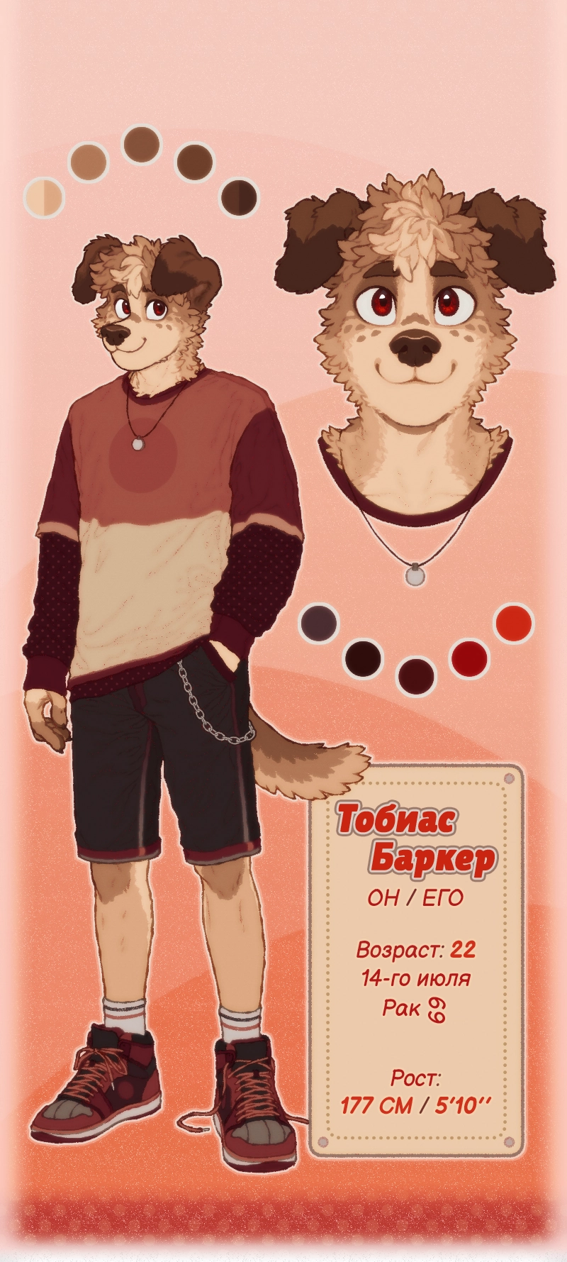 Страница 13